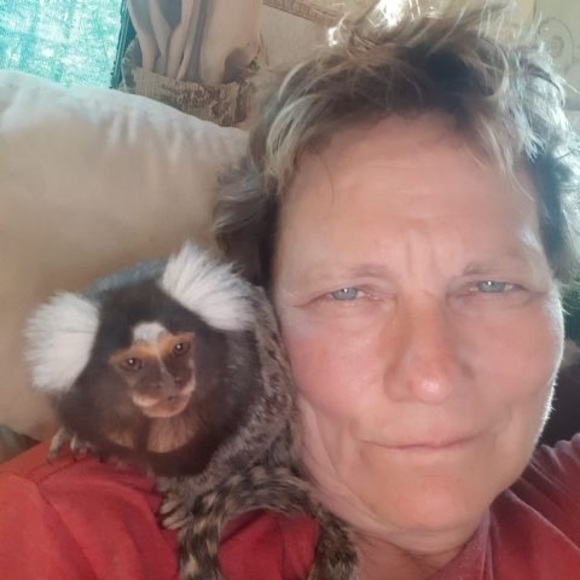 Meet your Posher, Kris - Picture 1 of 1